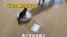 大猩猩嘴里吐屎,0区