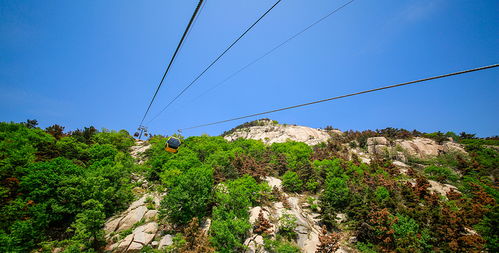 沂蒙山银座天蒙旅游区门票,沂蒙山银座天蒙旅游区门票预订,沂蒙山银座天蒙旅游区门票价格,去哪儿网门票 