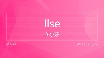 英文名Ilse 的意思 性别含义寓意及印象是什么 英文名 911查询 