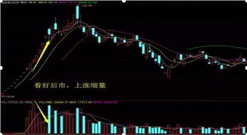 002225..成本13.5要什么时候才能回啊....他的后市如何...请知道的说详细