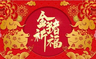 2019今年本命年要注意什么 属猪的朋友一定要了解一下 