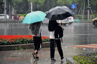 关注 汕头的雨什么时候停 就在明天 预计