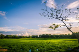 风雨百愁生，出门皆风景——人生路上的感悟，出门风雨百愁生啥意思