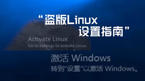 需要激活Linux 这世道,总有些迷惑小软件 