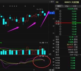 000829天音控股这支股票后市如何？