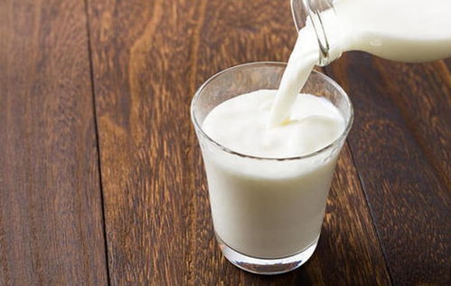 蒙牛脱脂牛奶喝了会减肥吗