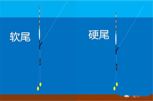 请教关于浮漂吃铅及漂尾