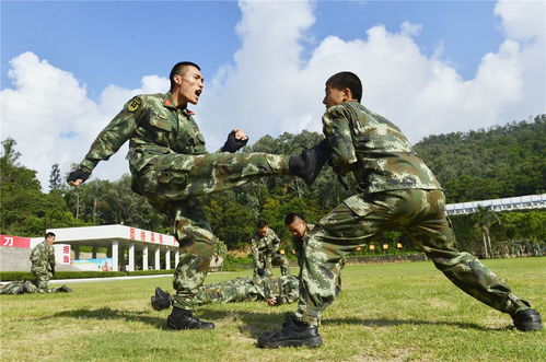 武警部队学的是擒敌拳,各特种部队根据作战需求学习的格斗也不尽相同