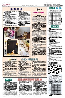 西海都市报数字报刊平台