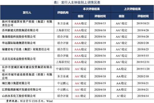 股票被列入评级观察名单是什么意思