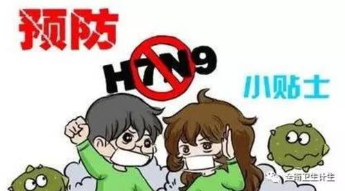 如何预防H7N9禽流感