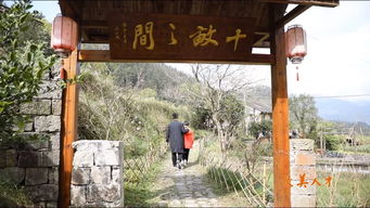 最美人才胡雄兵 旅游 文化 助力文成全域旅游