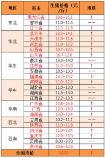 2019年8月20日 猪价整体持续走高