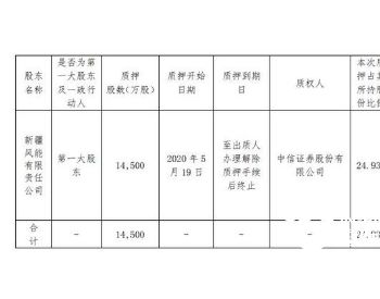 公司股份可以用于股东个人私自抵债吗