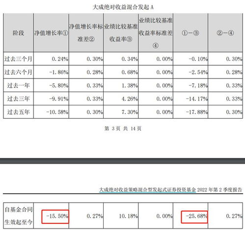 大成优选股票