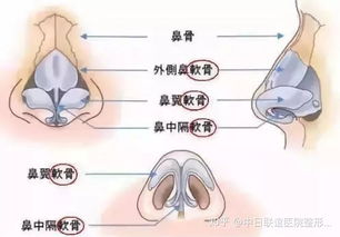 经常 捏鼻杀 鼻梁会变高 小心适得其反 