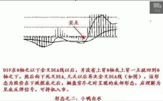 有色金属601899 7.00买入，后市如何操作