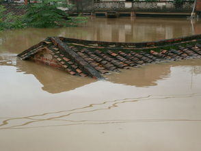 广东1村庄被水淹20年 搬迁喊15年仍在计划中