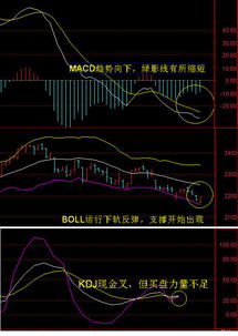 股市实时走势图中的白线和绿线分别代表哪种意义