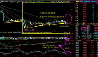 我买入股票价7.8..200股..参考价那是8.25..现在参考市价是7.84..盈亏：3.00 这个是怎么来的，怎么计算的...