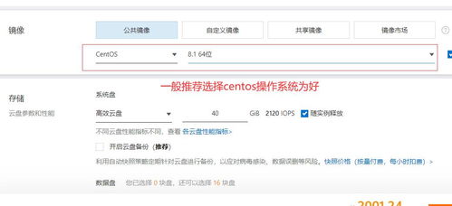 如何选择阿里云云服务器ECS操作系统(云服务器ecsphp)