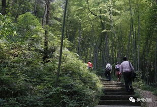 九峰山旅游区怎么样