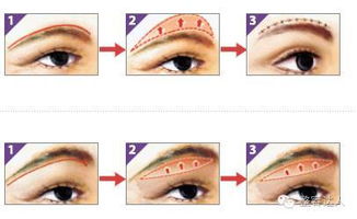 切眉和提眉到底有什么区别