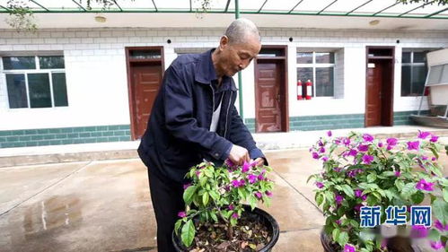 守护兰州后花园 助力甘肃青山绿