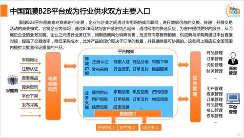 中国面膜行业B2B平台发展分析报告2020