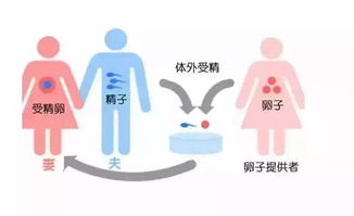 中国试管婴儿 中国的试管技术怎么样