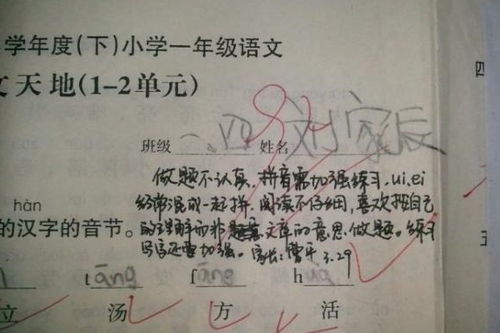 考试后,家长们在试卷上的签字亮了,孩子看了温暖,老师看了舒服