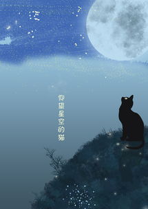 仰望夜空的猫图片 搜狗图片搜索