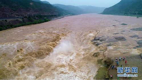 黄河干流水量暴涨 壶口瀑布波涛汹涌 