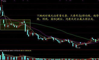 通达信选股编程求教： 选出当日主动买入量比总成交量大于90%的股票，谢谢！ 我是菜鸟~