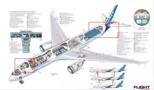 揭密空姐的 空中闺房 ,很多乘客都没见过