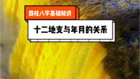 第8集四柱八字学曾氏命稿例题全解课程视频全集 假从格理论总结