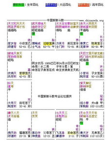 有哪位大师帮我看看这个紫薇排盘什么意思 谢谢了 