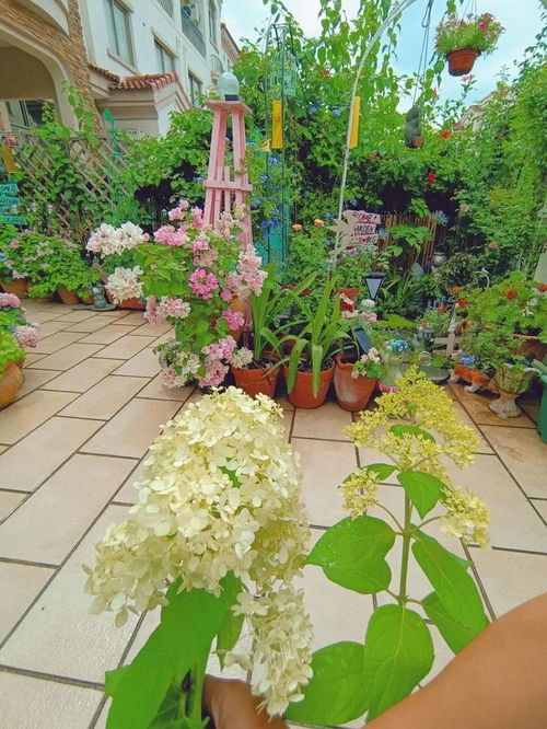 买了个50㎡别墅小院,DIY改造成花园,美得像宫崎骏电影中的场景