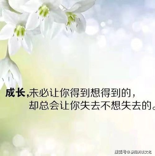 最经典的为人处世句子,句句受用,点击率超高