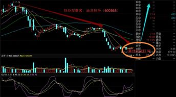 600565迪马股份，后市如何是看涨还是看跌