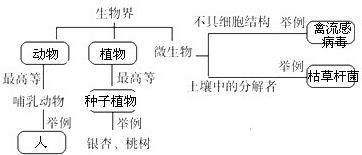 请在方框内填上生物学术语. 题目和参考答案 青夏教育精英家教网 