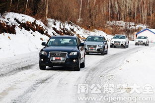 梦见雪地开车是什么意思 梦到雪地开车好不好 大鱼解梦网 