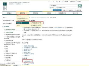 场内分级母基金代码如何查询