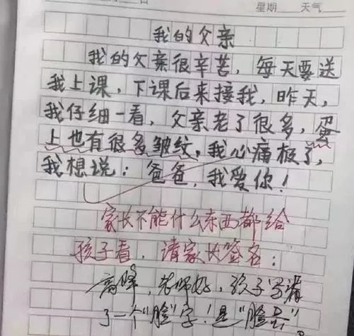 父亲接送我上下学作文