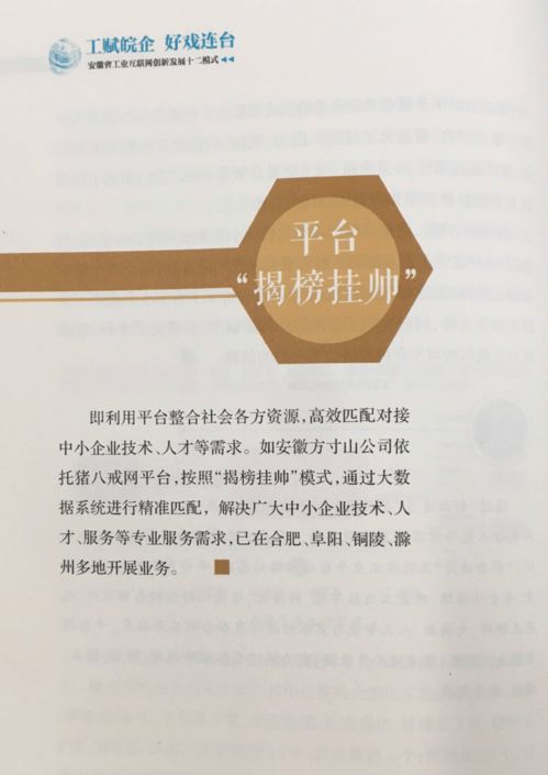 多个八戒工场园区入选 安徽省工业互联网创新发展十二模式 案例集