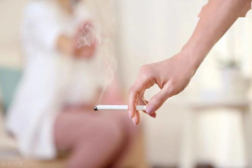 烟草价格与健康风险，深入探讨低价烟与健康的关系香烟货源网 - 1 - 635香烟网
