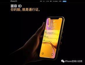 资讯 iPhone XR等于苹果承认3D Touch失败