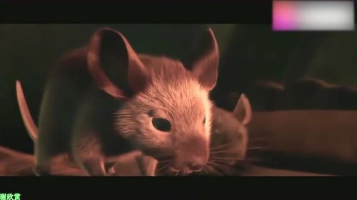 老鼠,一个小故事 ,老鼠世界的魔戒传奇 