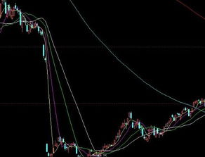 怎样炒股票，急急急急。