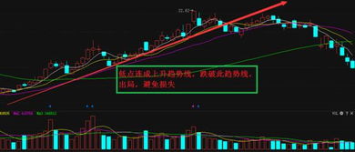 如何理解股票“止损”和“长线持有才有收益”？